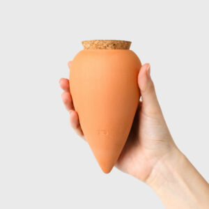 Olla terracota • Pépin •